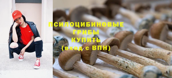 MESCALINE Медвежьегорск