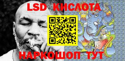дживик Кингисепп