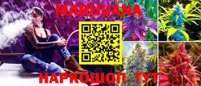 дживик Кингисепп