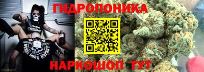 дживик Кингисепп