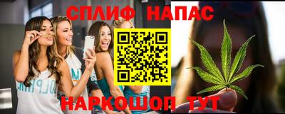 дживик Кингисепп