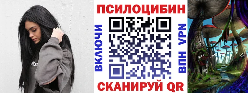 Псилоцибиновые грибы мицелий Улан-Удэ